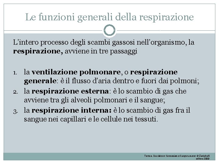 Le funzioni generali della respirazione L’intero processo degli scambi gassosi nell’organismo, la respirazione, avviene Le funzioni generali della respirazione L’intero processo degli scambi gassosi nell’organismo, la respirazione, avviene