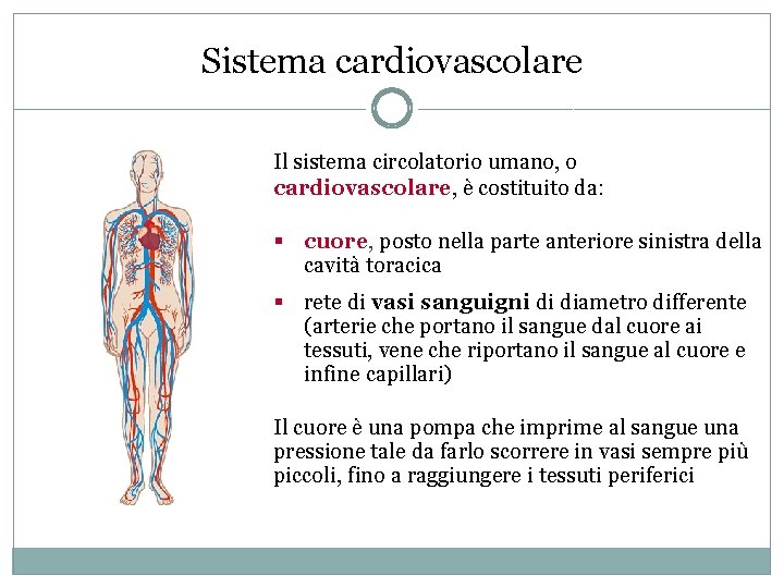 Sistema cardiovascolare Il sistema circolatorio umano, o cardiovascolare, è costituito da: § cuore, posto Sistema cardiovascolare Il sistema circolatorio umano, o cardiovascolare, è costituito da: § cuore, posto