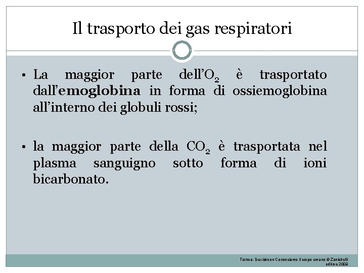 Il trasporto dei gas respiratori • La maggior parte dell’O 2 è trasportato dall’emoglobina Il trasporto dei gas respiratori • La maggior parte dell’O 2 è trasportato dall’emoglobina