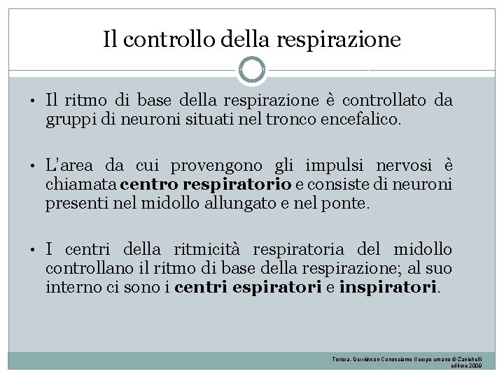 Il controllo della respirazione • Il ritmo di base della respirazione è controllato da Il controllo della respirazione • Il ritmo di base della respirazione è controllato da