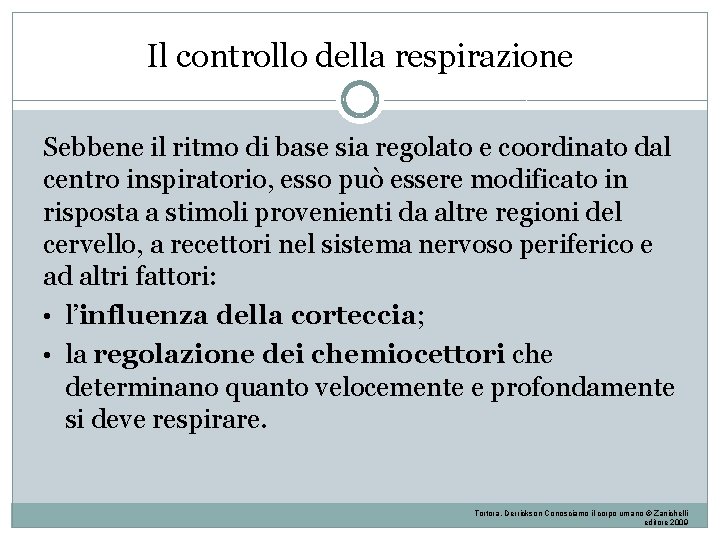Il controllo della respirazione Sebbene il ritmo di base sia regolato e coordinato dal Il controllo della respirazione Sebbene il ritmo di base sia regolato e coordinato dal