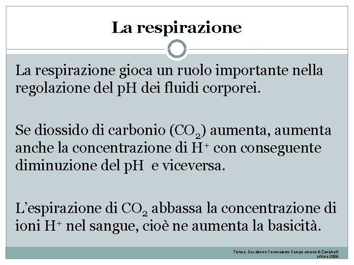 La respirazione gioca un ruolo importante nella regolazione del p. H dei fluidi corporei. La respirazione gioca un ruolo importante nella regolazione del p. H dei fluidi corporei.