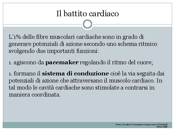 Il battito cardiaco L’ 1% delle fibre muscolari cardiache sono in grado di generare Il battito cardiaco L’ 1% delle fibre muscolari cardiache sono in grado di generare
