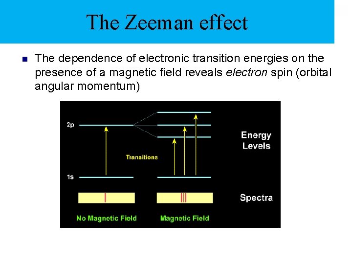 The Zeeman effect n The dependence of electronic transition energies on the presence of