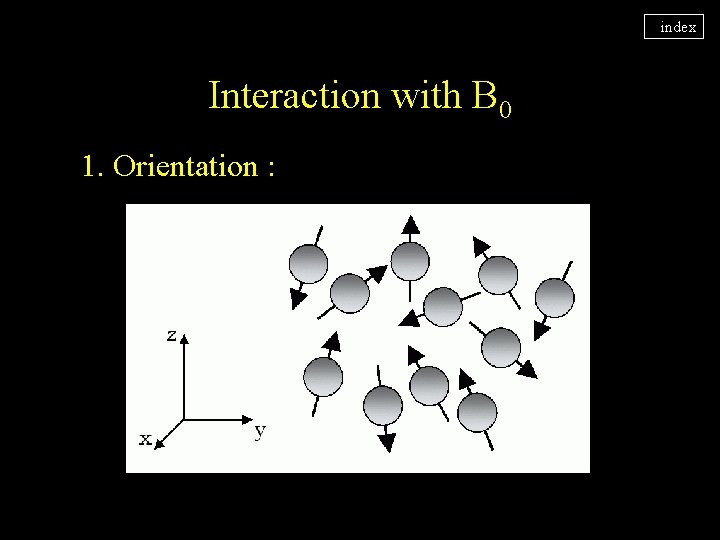 index Interaction with B 0 1. Orientation : 