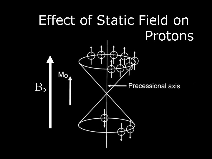 Effect of Static Field on Protons Bo 