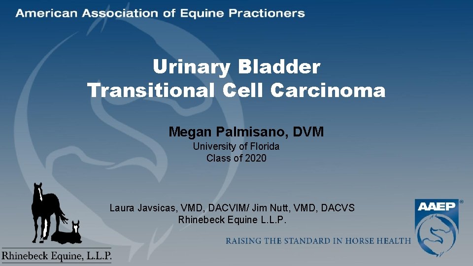 Urinary Bladder Transitional Cell Carcinoma Megan Palmisano, DVM University of Florida Class of 2020