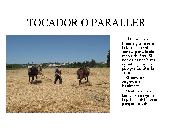 TOCADOR O PARALLER El tocador és l’home que fa girar la bístia amb el