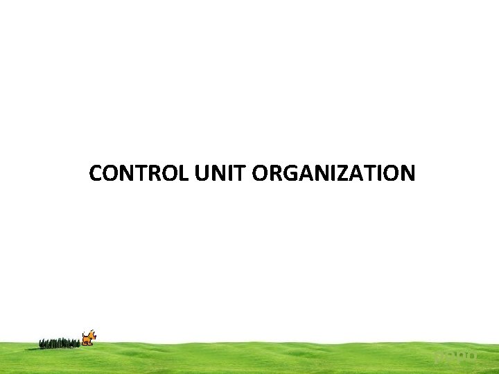 CONTROL UNIT ORGANIZATION popo 