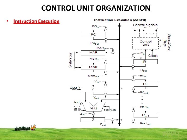 CONTROL UNIT ORGANIZATION • Instruction Execution popo 