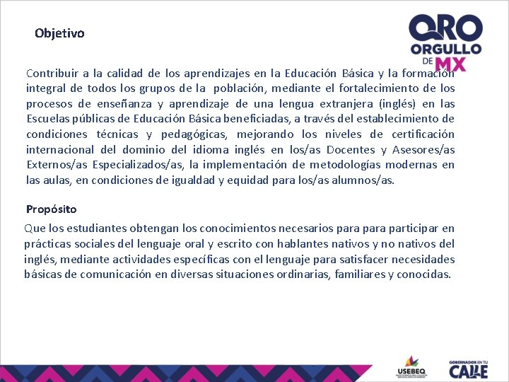 Objetivo Contribuir a la calidad de los aprendizajes en la Educación Básica y la