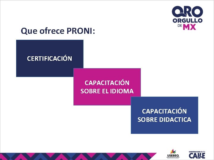 Que ofrece PRONI: CERTIFICACIÓN CAPACITACIÓN SOBRE EL IDIOMA CAPACITACIÓN SOBRE DIDACTICA 