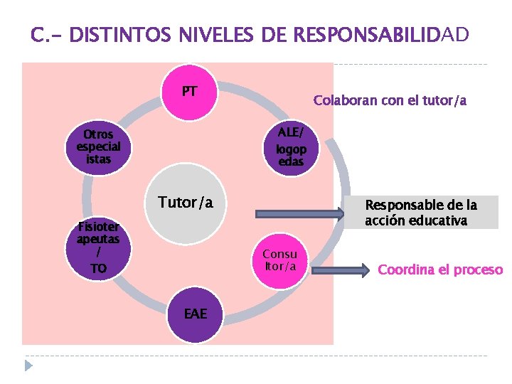 C. - DISTINTOS NIVELES DE RESPONSABILIDAD PT Colaboran con el tutor/a ALE/ Otros especial