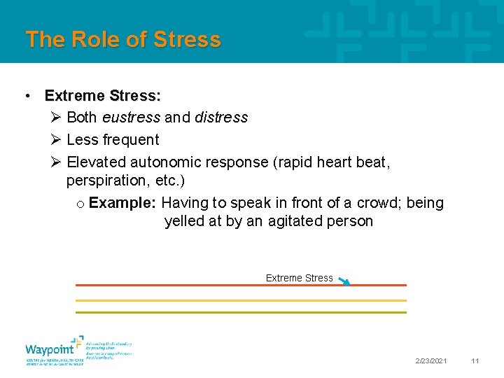 The Role of Stress • Extreme Stress: Ø Both eustress and distress Ø Less