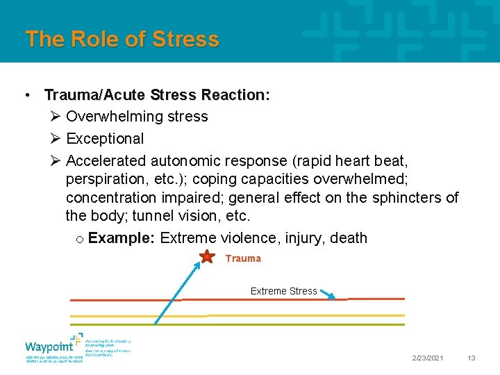 The Role of Stress • Trauma/Acute Stress Reaction: Ø Overwhelming stress Ø Exceptional Ø