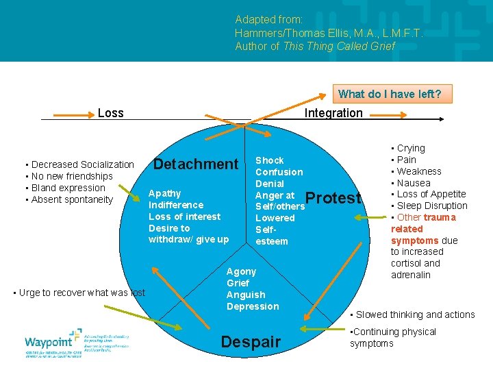 Adapted from: Hammers/Thomas Ellis, M. A. , L. M. F. T. Author of This
