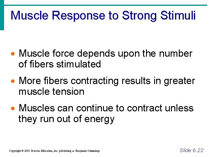 Muscle Response to Strong Stimuli · Muscle force depends upon the number of fibers