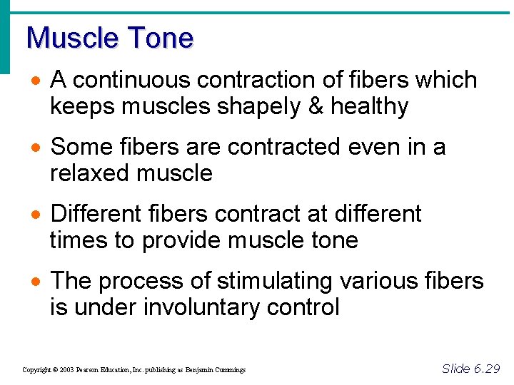 Muscle Tone · A continuous contraction of fibers which keeps muscles shapely & healthy