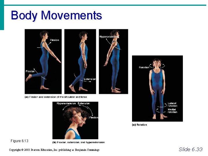 Body Movements Figure 6. 13 Copyright © 2003 Pearson Education, Inc. publishing as Benjamin