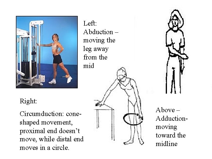 Left: Abduction – moving the leg away from the midline Right: Circumduction: coneshaped movement,