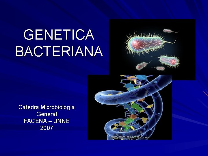 GENETICA BACTERIANA Cátedra Microbiología General FACENA – UNNE 2007 