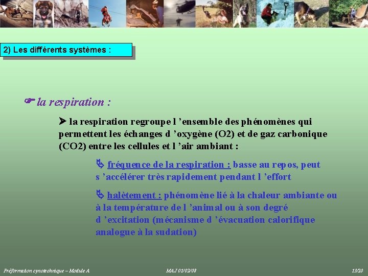 2) Les différents systèmes : la respiration : la respiration regroupe l ’ensemble des 2) Les différents systèmes : la respiration : la respiration regroupe l ’ensemble des