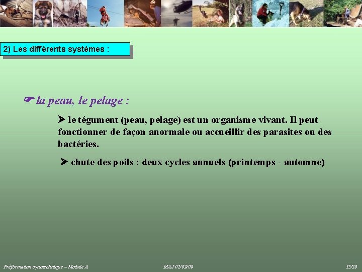 2) Les différents systèmes : la peau, le pelage : le tégument (peau, pelage) 2) Les différents systèmes : la peau, le pelage : le tégument (peau, pelage)