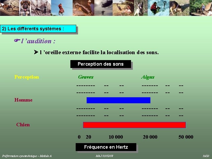 2) Les différents systèmes : l ’audition : l ’oreille externe facilite la localisation 2) Les différents systèmes : l ’audition : l ’oreille externe facilite la localisation