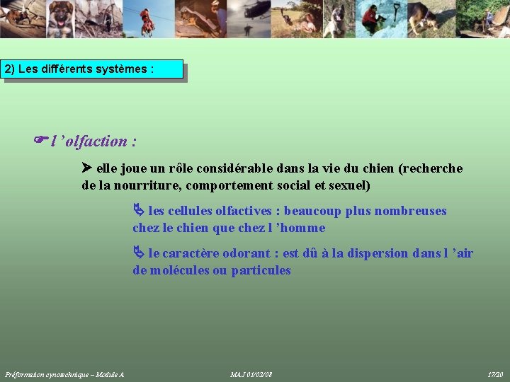 2) Les différents systèmes : l ’olfaction : elle joue un rôle considérable dans 2) Les différents systèmes : l ’olfaction : elle joue un rôle considérable dans