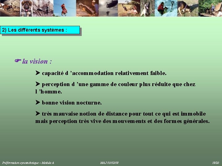 2) Les différents systèmes : la vision : capacité d ’accommodation relativement faible. perception 2) Les différents systèmes : la vision : capacité d ’accommodation relativement faible. perception