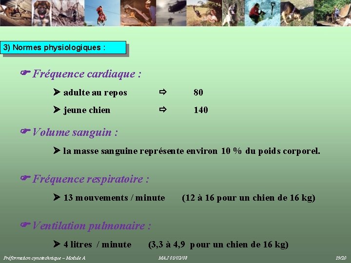 3) Normes physiologiques : Fréquence cardiaque : adulte au repos 80 jeune chien 140 3) Normes physiologiques : Fréquence cardiaque : adulte au repos 80 jeune chien 140