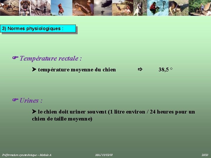 3) Normes physiologiques : Température rectale : température moyenne du chien 38, 5 ° 3) Normes physiologiques : Température rectale : température moyenne du chien 38, 5 °