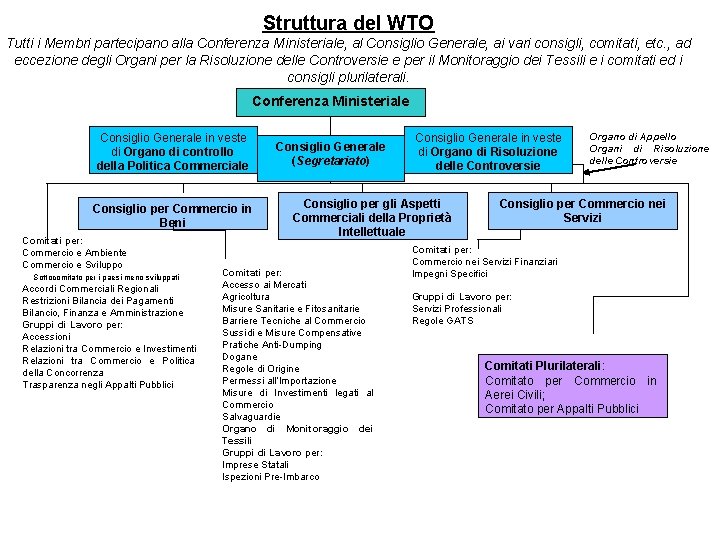 Struttura del WTO Tutti i Membri partecipano alla Conferenza Ministeriale, al Consiglio Generale, ai