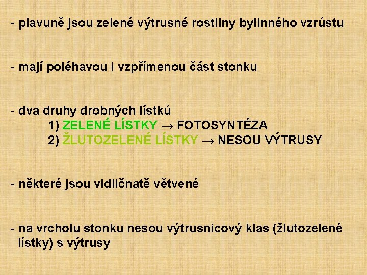 - plavuně jsou zelené výtrusné rostliny bylinného vzrůstu - mají poléhavou i vzpřímenou část
