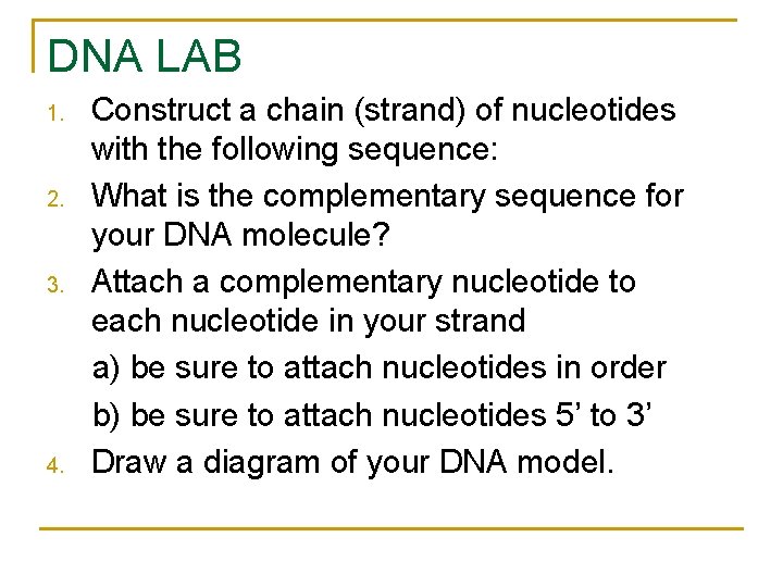 DNA LAB 1. 2. 3. 4. Construct a chain (strand) of nucleotides with the DNA LAB 1. 2. 3. 4. Construct a chain (strand) of nucleotides with the