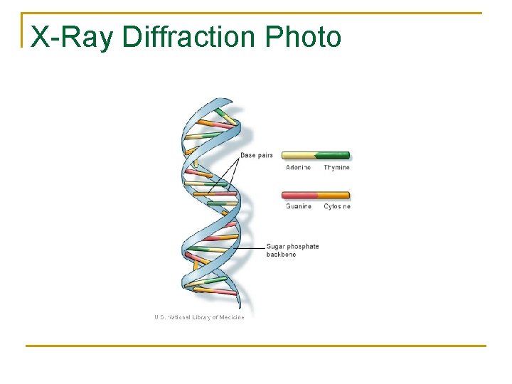 X-Ray Diffraction Photo X-Ray Diffraction Photo