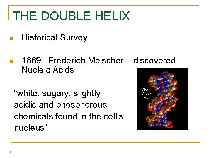 THE DOUBLE HELIX n Historical Survey n 1869 Frederich Meischer – discovered Nucleic Acids THE DOUBLE HELIX n Historical Survey n 1869 Frederich Meischer – discovered Nucleic Acids