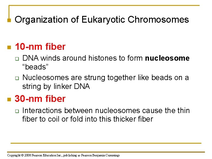 n Organization of Eukaryotic Chromosomes n 10 -nm fiber q q n DNA winds n Organization of Eukaryotic Chromosomes n 10 -nm fiber q q n DNA winds