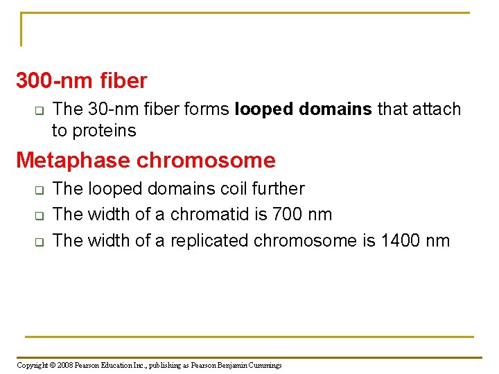 300 -nm fiber q The 30 -nm fiber forms looped domains that attach to 300 -nm fiber q The 30 -nm fiber forms looped domains that attach to