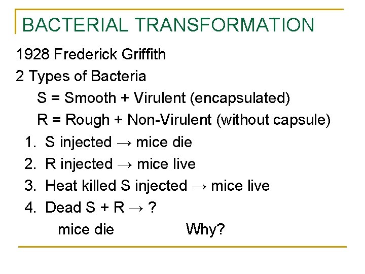 BACTERIAL TRANSFORMATION 1928 Frederick Griffith 2 Types of Bacteria S = Smooth + Virulent BACTERIAL TRANSFORMATION 1928 Frederick Griffith 2 Types of Bacteria S = Smooth + Virulent