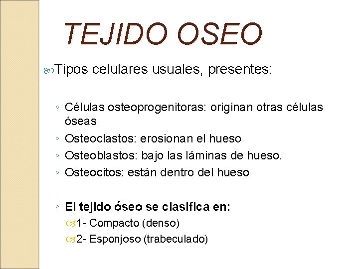 TEJIDO OSEO Tipos celulares usuales, presentes: ◦ Células osteoprogenitoras: originan otras células óseas ◦