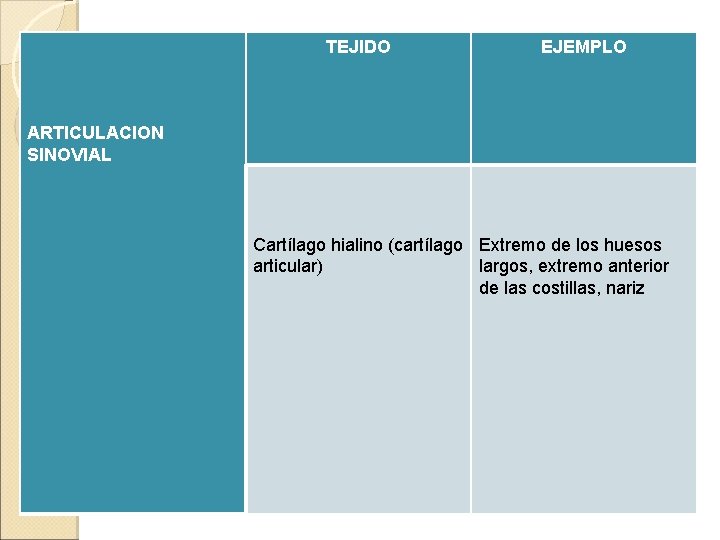 TEJIDO EJEMPLO ARTICULACION SINOVIAL Cartílago hialino (cartílago Extremo de los huesos articular) largos, extremo