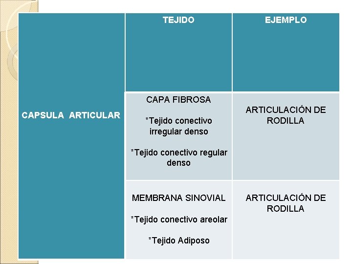 TEJIDO EJEMPLO CAPA FIBROSA CAPSULA ARTICULAR *Tejido conectivo irregular denso ARTICULACIÓN DE RODILLA *Tejido