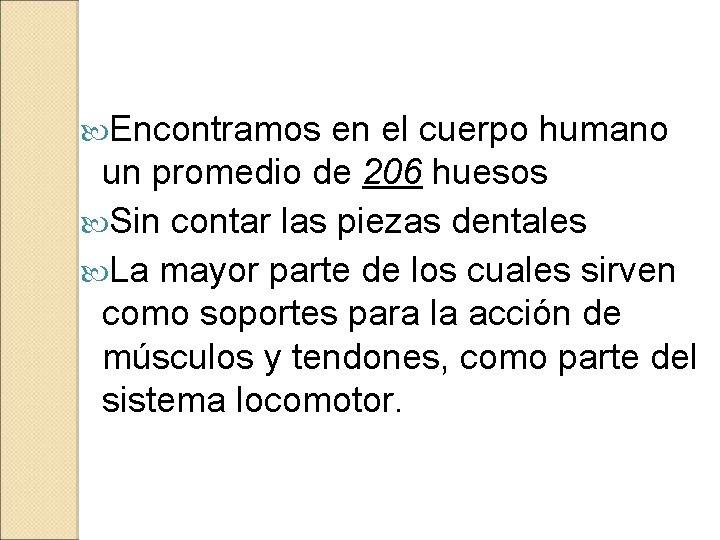  Encontramos en el cuerpo humano un promedio de 206 huesos Sin contar las