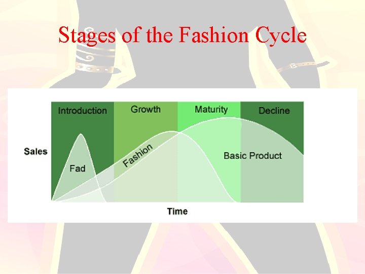 Stages of the Fashion Cycle 