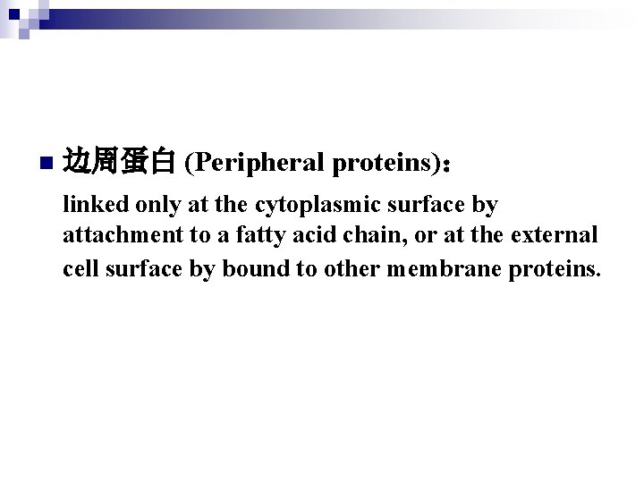 n 边周蛋白 (Peripheral proteins)： linked only at the cytoplasmic surface by attachment to a