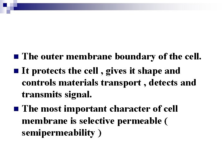 The outer membrane boundary of the cell. n It protects the cell , gives