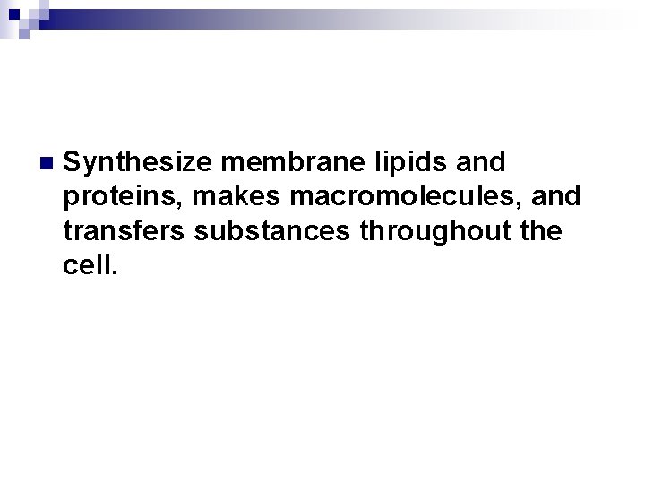 n Synthesize membrane lipids and proteins, makes macromolecules, and transfers substances throughout the cell.