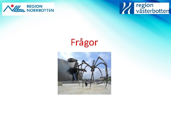 Frågor 