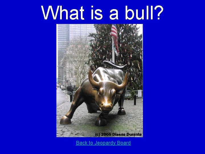 What is a bull? Back to Jeopardy Board 